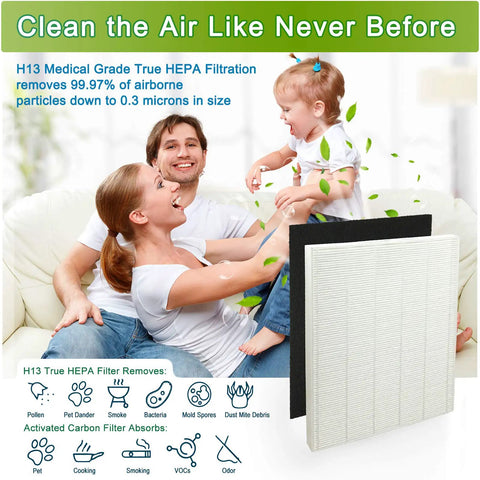 Replacement Filter S For Winix C545 Air Purifier, H13 Grade Main Filter Plus Activated Carbon, 4-Pack, air cleaning illustration