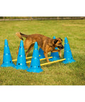 Dog navigating Dog Cone And Pole Agility Set For All Sizes, lightweight backyard training hurdles in grass field.