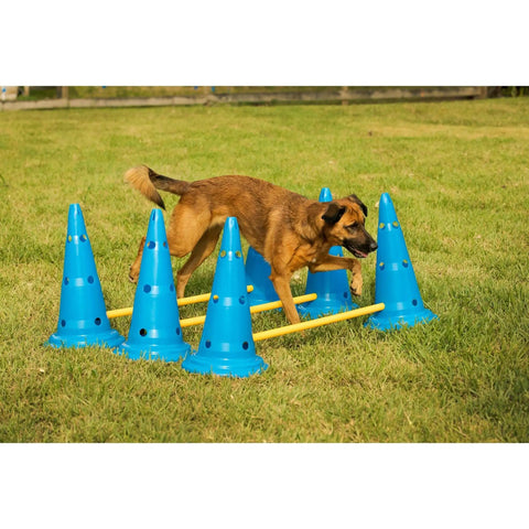 Dog navigating Dog Cone And Pole Agility Set For All Sizes, lightweight backyard training hurdles in grass field.