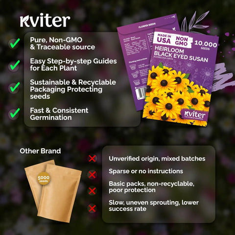 Top Shelf 10000 Black Eyed Susan Heirloom Flower Seeds For Planting displayed in eco-friendly packaging with features highlighted.