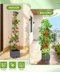 Two Pack Raised Garden Bed Tomato Planter With Trellis And 57 Inch Tomato Cage Plant Support Self Watering Planter on balcony and indoors