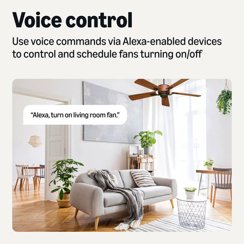 Living room featuring Big Time Game Changer Smart Ceiling Fan Control Switch Alexa Voice Control with a stylish gray sofa.