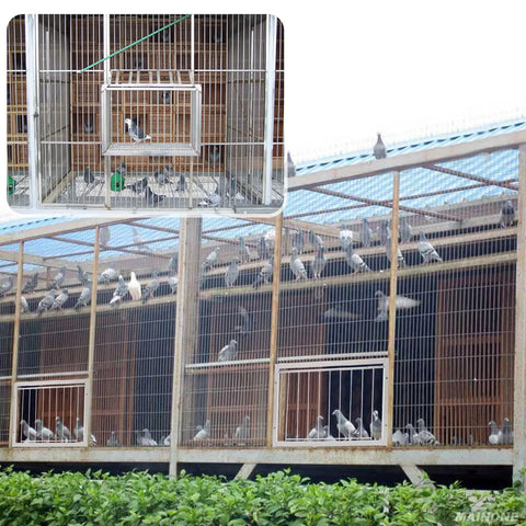 Heavy Duty T Trap Door For Pigeon Cage Iron Wire Birdcage Accessory With Self Lock Design For Racing Pigeons, view of cages and doors