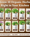 Indoor Outdoor Herb Garden Starter Kit With 10 Planter Pots Trays Coco Coir Discs 10 Plant Markers And 10 Premium Herb Seeds Non GMO USDA Certified Easy Grow Kit For Beginners A Cool Gift For Gardeners And Plant Lovers with images of herbs like rosemary, basil, and thyme in white pots.