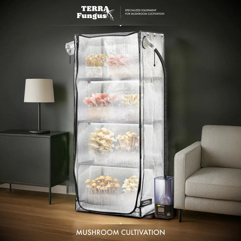 Mushroom Grow Tent With 6500K LED Light And Timer, Four Tier Shelves Fit Up To Eight Monotubs, Mini Indoor Greenhouse for home use