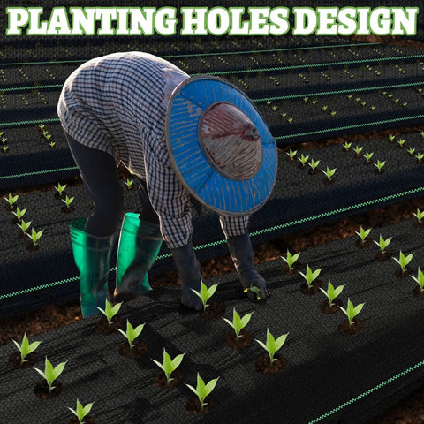 Person uses Garden Weed Barrier Fabric With Pre-Punched 132 Planting Holes For Quick No-Fuss Planting in vegetable garden.