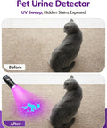2-In-1 Black Light Flashlight With 395nm UV And White Light detecting pet stains on carpet with cat visible