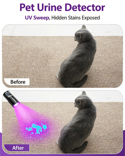 2-In-1 Black Light Flashlight With 395nm UV And White Light detecting pet stains on carpet with cat visible