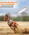 Dog running with 15Ft Reflective Tie Out Cable For Dogs Up To 250 Pounds, Heavy Duty Stainless Steel Wire Leash With Dual Fix Buckle