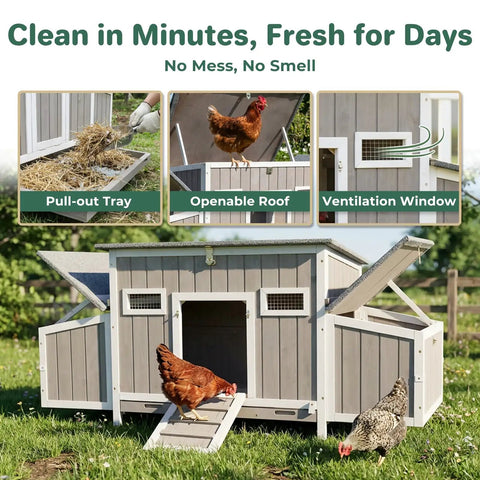 Ultimate 62 Inch Chicken Coop For 2 To 4 Chickens With Four Nesting Boxes Roosting Bars Openable Waterproof Roof Lockable Doors And Pull Out Tray Weatherproof Outdoor Fir Wood Hen House With Lockable Ladder Door Ramp Security with chickens using ramp and open roof