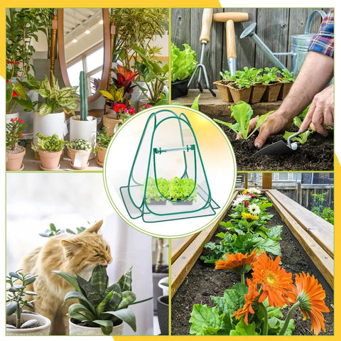 Pop Up Greenhouse Cover Portable Mini Greenhouse For Indoor Outdoor Gardening 2 Pack PVC Clear Plant Shelter No Assembly Quick Setup Foldable Backyard Sunroom Garden Solution
