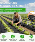 Tough As Nails Weed Barrier Fabric For Gardens And Driveways 3x300ft Geotextile Ground Cover installed in a garden landscape
