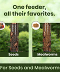 Squirrel-Proof Outdoor Bird Feeder That Delivers Mealworms And Seeds, Large 3-Pound Capacity, Weather-Resistant Hanging Tube