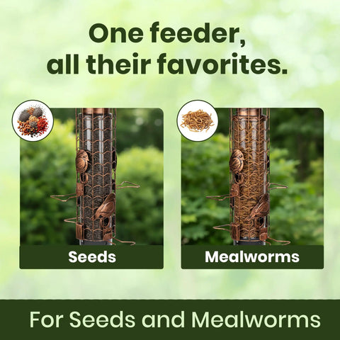 Squirrel-Proof Outdoor Bird Feeder That Delivers Mealworms And Seeds, Large 3-Pound Capacity, Weather-Resistant Hanging Tube