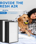 Image of a person with a dog beside Two Pack A2 HEPA Replacement Filters For Room A2 Air Purifier Includes Two Carbon Pre Filters.