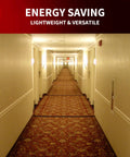 FireHorse 7 Emergency Ballast Universal Voltage White 500 Initial Lumen Output lighting hallway