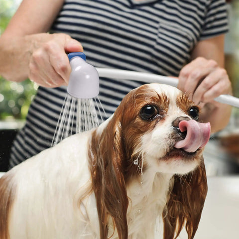 Person using Easy Spray Indoor Outdoor Portable Handheld Sink Sprayer Attachment For Faucets to wash a dog