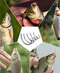 Pro Grade 175Piece Barbless Carp Hook Kit With Curve Shank Crank Wide Gape Fly Tying And Circle Hooks catching fish