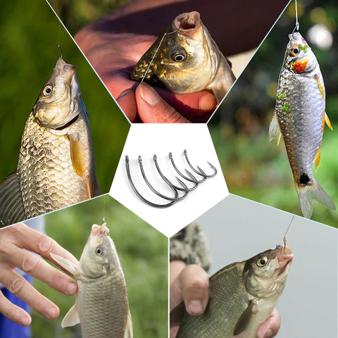 Pro Grade 175Piece Barbless Carp Hook Kit With Curve Shank Crank Wide Gape Fly Tying And Circle Hooks catching fish
