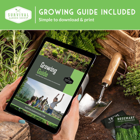 Person holding tablet with 'Growing Guide', garden tools, and plants; Indoors Or Outdoors Vegetable Seed Kit With 20 Heirloom Non GMO Varieties For Beginners A Great Gift For Family Gardeners Looking To Start A Real Food Victory Garden At Home