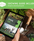 Tablet displaying Growing Guide on garden bed with tools, surrounded by herbs and 15 Pack Heirloom Vegetable Seed Kit For Indoor Or Outdoor Gardens Non GMO Family Gift With Tomatoes Lettuce Cucumber Squash Pepper Carrot Cabbage Zucchini And More Backyard Ready."