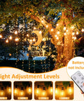 48Ft LED Outdoor String Lights With Dimmer illuminating a tree, remote control in hand, showcasing 4 brightness levels