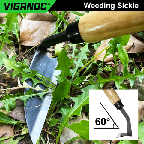 Wide Blade Garden Hoe With 9.6 Inch Wood Handle And 4.9 Inch Japanese High Carbon Steel Blade, Ultra Sharp Weeding Sickle in action