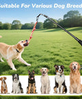 Golden retriever playing with 360 Degree Rotation Tether Dog Rope Toy Set For Solo Yard Park Play, various dog breeds shown
