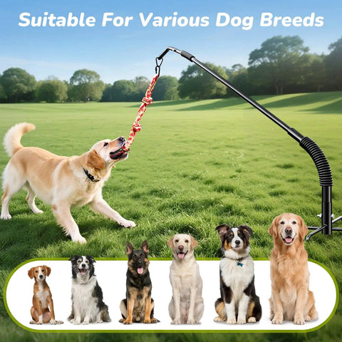 Golden retriever playing with 360 Degree Rotation Tether Dog Rope Toy Set For Solo Yard Park Play, various dog breeds shown