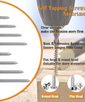 All In One 1200 Pc Stainless Steel Wood And Sheet Metal Screws Set M3 M4 M5 M6 Phillips Drive Flat And Pan Head Self Tapping Marine Grade 304 From One Quarter Inch To Two Inches Length, showing assortment of round and flat head screws on wooden surface.