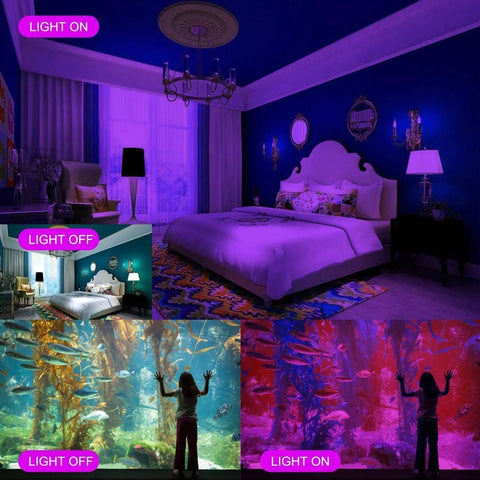 Room and aquarium with 200W LED Black Light Flood Lights Outdoor With 6ft Cord Two Pack For Blacklight Parties on and off