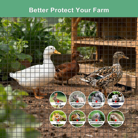 Heavy Duty Black Vinyl Coated Hardware Cloth One Inch Square Mesh Galvanized Steel Wire used to protect ducks and gardens against wildlife.