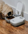 No Fuss Dual Compartment Automatic Pet Feeder Programmable Meal Timer For Cats And Small Dogs Handles Up To Forty Eight Hour Scheduling with a dog eating.