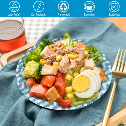 Salad served on 10 Inch Thickened Disposable Paper Plates Bulk Pack 300 Count Heavy Duty Dinner Plates For Holidays Parties Picnics And Everyday Use Great For Home Kitchen And Outdoor Dining with fork and drink.