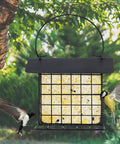 Outdoor Suet Feeder Hanging Cage Weatherproof Metal Suet Holder Squirrel Proof Bird Feeder in garden