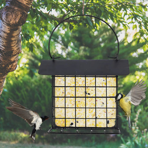 Outdoor Suet Feeder Hanging Cage Weatherproof Metal Suet Holder Squirrel Proof Bird Feeder in garden