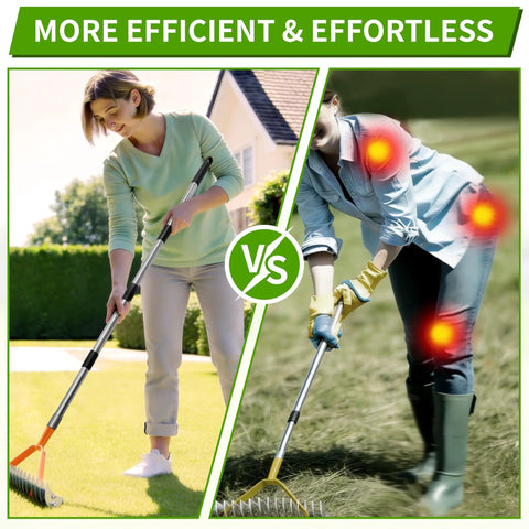 Comparison of two people using an all purpose lawn thatch rake with 15 inch head beefy 19 tines 68 inch adjustable handle.