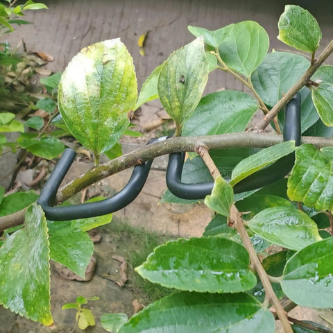 3.1 Inch Fruit Tree Limb Spreader Set, 20 Pieces Branch Puller Tools with Plastic Hose Wrapped Iron Wire installed on a tree branch