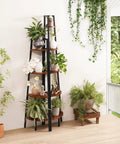 Deadly Solid 5 Tier Corner Bookcase With Heavy Steel Frame And Thick Rustic Wood Shelves showcasing plants in a bright corner setting.