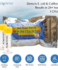 Top Shelf Two Pack Water Testing Kit To Nail Down E Coli And Coliform Fast Easy Color Shift Tests For Drinking Water Pools And Wells Keep Your Supply Totally Secure Always.