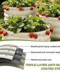 Galvanized Raised Garden Bed Kit With Three 2x2x1ft Round Planter Beds All In One Mini Seed Spreader And Disk Seeder Two Seeding Transplanters Protective Gloves And Handy Tool Kit For Flowers Fruits Vegetables Herbs showing strawberries growing in round steel planters.