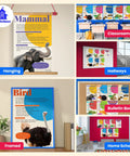 Classroom display of 7 Poster Animal Groups Set For Science Classroom Learning Mammals Birds Amphibians Invertebrates Reptiles Fish And Biological Kingdom Classification 12 By 18 Inches Made In USA Perfect K12 Kid Friendly Teacher Decor