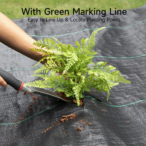 Planting on Heavy Duty Weed Barrier Fabric 3ft By 100ft Ground Cover For Garden Yard Pathways, 3.2oz Woven Weed Cloth with green guidelines