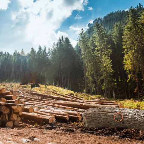 Heavy Duty Log Choker Cable 3/16 Inch X 10 Ft With Tow Rings For UTV ATV And Lawn Tractors, Forestry Grade Wire Rope Accessory, Strong 2400 Lb Capacity For Towing, Hauling, And Logging Tasks used to tow a large log in a forest setting