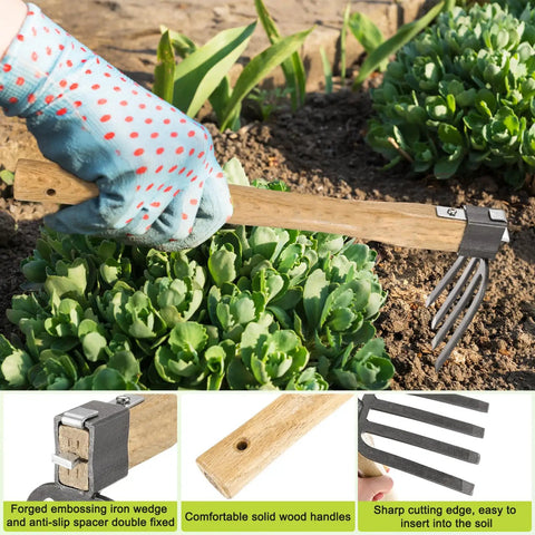 Gardener using Japanese Hand Tiller And Garden Rake Tool With 15.4 Inch Stainless Steel Cultivator And Hoe For Digging Weeding And Planting