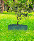 20 Pack Garden Edging Border Set With Interlocking 5.3 Inch Tall Flexible Plastic Borders For Lawn And Flower Beds 10.5 Feet Total Length No Dig Required Easy Install For DIY Patio Walkway And Yard Border surrounding a tree in a garden.