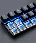 Blue 3-Pin Clicky Mechanical Keyboard Switches 50gf Actuation, Tactile And Audible Feedback, 30-Piece Bulk Pack For DIY Keyboards, Gaming, Typists, And Fidget Enthusiasts shown on hot-swap keyboard plate