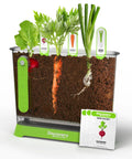Clear vegetable garden kit with carrots, radishes, onions, soil, seed packets, part of Edible Veggie Garden Watch It Grow Kit For Kids Kid Friendly A DIY STEM Activity That Helps Them Grow Carrots Radishes And Onions With Seed Packets Potting Mix And Root Tracker An 11 Piece Learning Toy Gift For Ages 6 Plus.