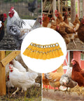 Yellow Tie Cord Leash For Game Fowl And Poultry, Adjustable Nylon Strap displayed with chickens in a farm setting
