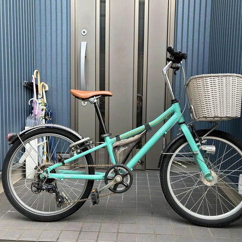 Mint green bicycle with black seat and white basket outside building doors, visible pedals and handlebars, no rider.